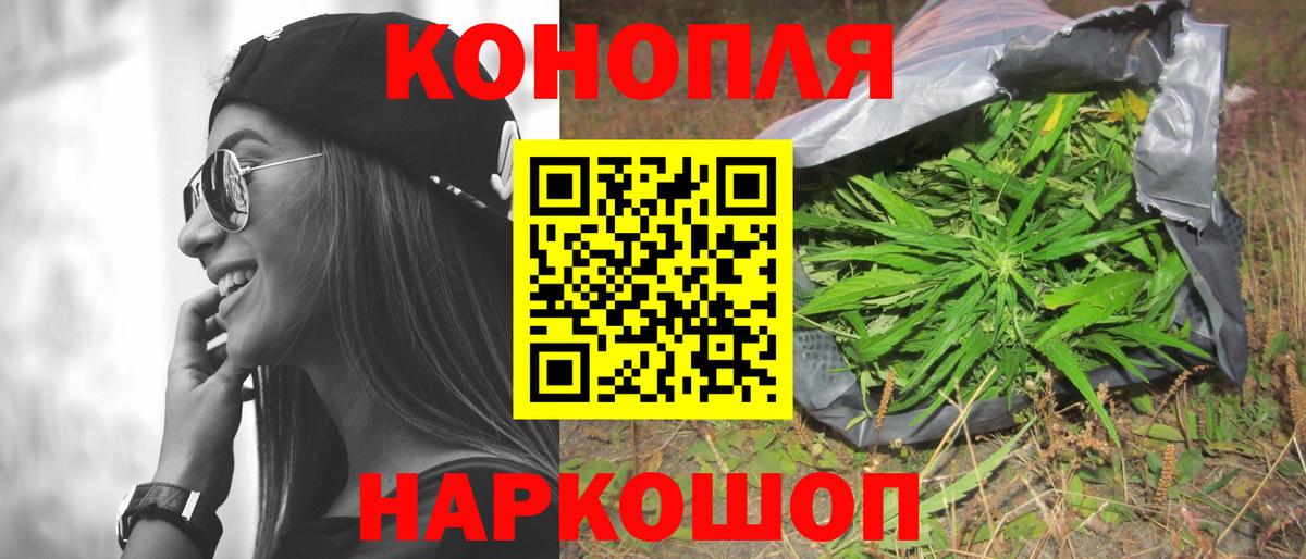 Канабис семена Томск